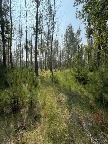 Xxx County Road 26 Verndale MN 56481