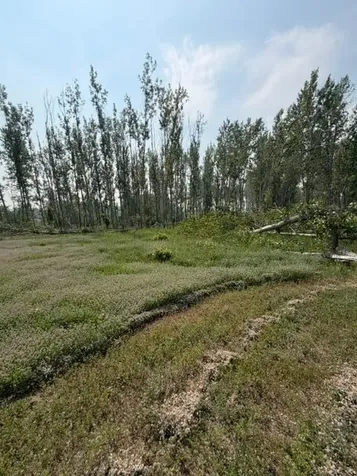 Xxx County Road 26 Verndale MN 56481