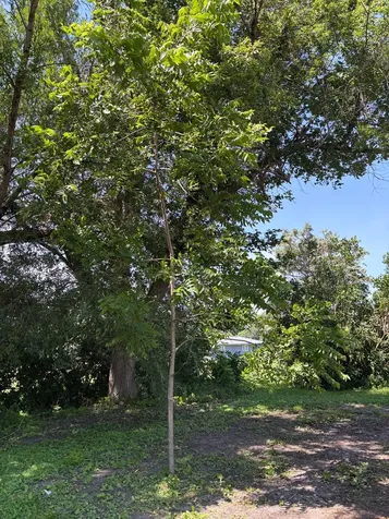 106 1st Avenue SW Eagle Bend MN 56446