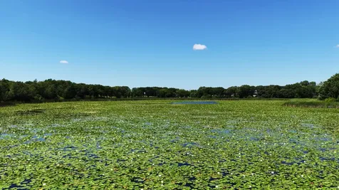 Tbd Highland Avenue Big Lake MN 55309