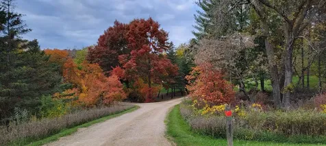 6306 Crackleberry Trail Woodbury MN 55129