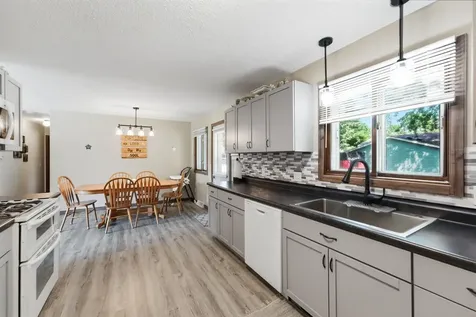 231 Excelsior Avenue S Annandale MN 55302