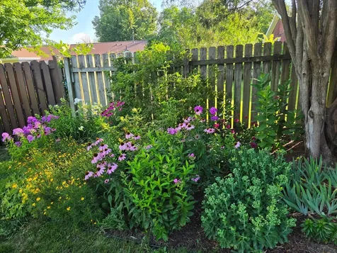 1202 Martin Road Albert Lea MN 56007