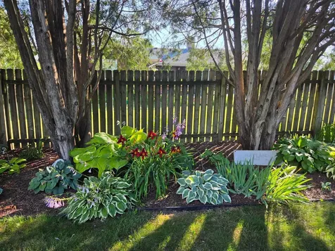 1202 Martin Road Albert Lea MN 56007