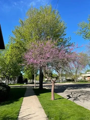 203 S Garden Street Lake City MN 55041