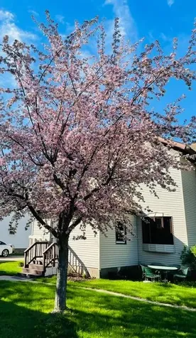 203 S Garden Street Lake City MN 55041