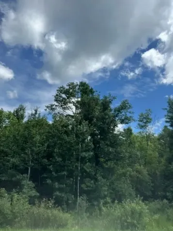 36502 County Road 129 Deer River MN 56636