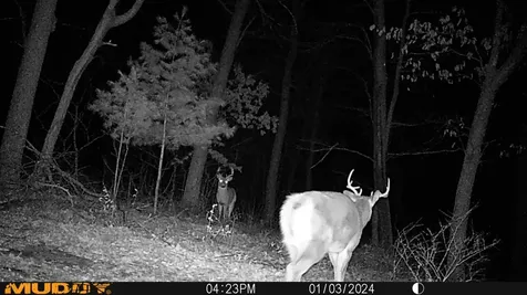 21943 Martin Lake Road NE Stacy MN 55079