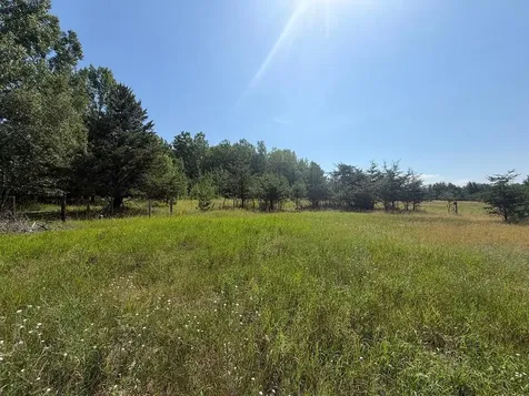 Abc County 2 Nevis MN 56467