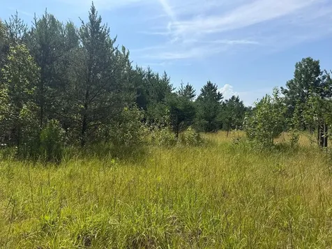 Abc County 2 Nevis MN 56467