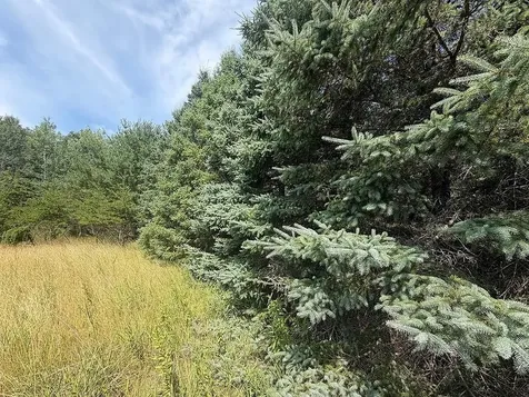 Abc County 2 Nevis MN 56467