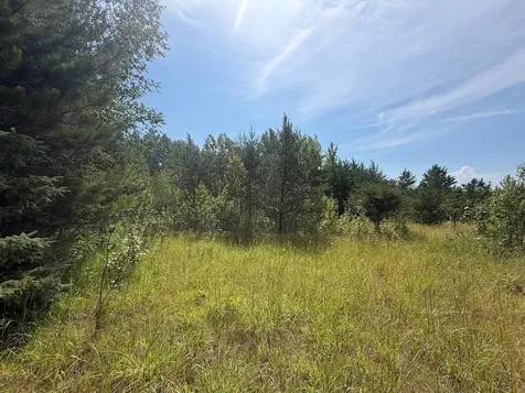 Abc County 2 Nevis MN 56467