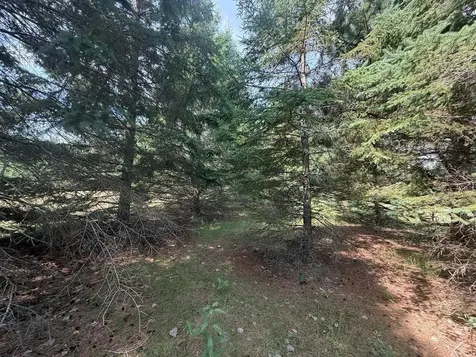 Abc County 2 Nevis MN 56467