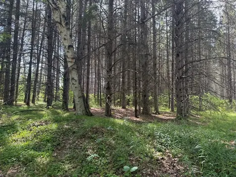 Abc County 2 Nevis MN 56467