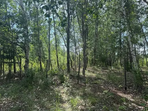 Abc County 2 Nevis MN 56467