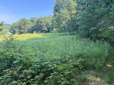 320TH 320th Street Browerville MN 56438