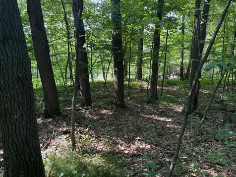 320TH 320th Street Browerville MN 56438