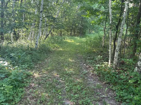 320TH 320th Street Browerville MN 56438