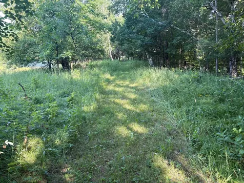 320TH 320th Street Browerville MN 56438