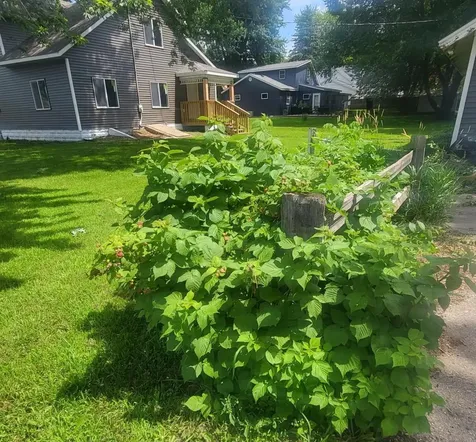 409 2nd Avenue S Long Prairie MN 56347