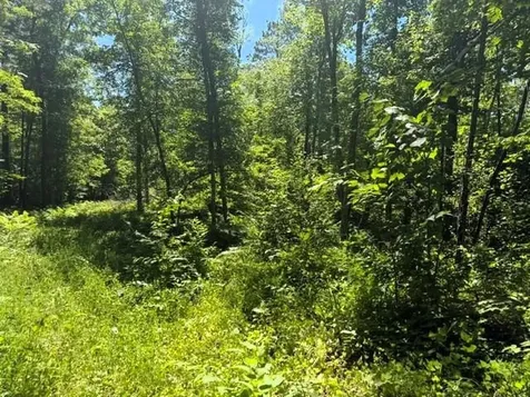 Tbd River Lane Fifty Lakes MN 56448