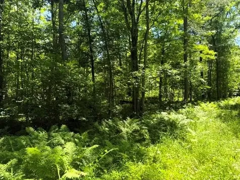 Tbd River Lane Fifty Lakes MN 56448