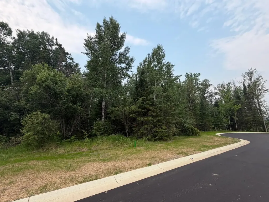 Lot 1, Block 2 Edien Drive Cook MN 55723