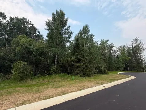 Lot 1, Block 2 Edien Drive Cook MN 55723