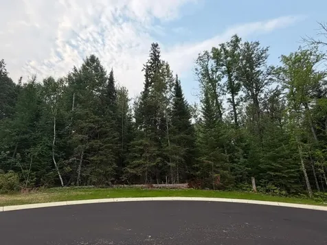 Lot 1, Block 2 Edien Drive Cook MN 55723