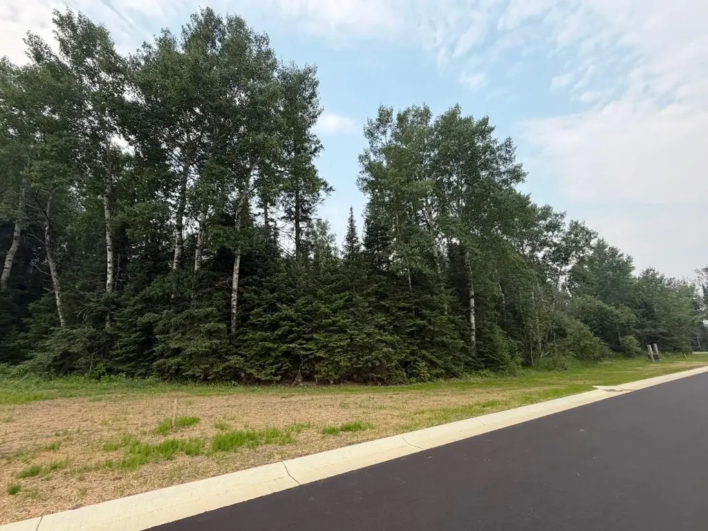 Lot 2, Block 2 Eldien Drive Cook MN 55723