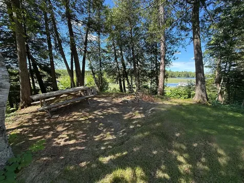 6231 72nd Street NE Remer MN 56672