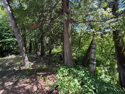 6231 72nd Street NE Remer MN 56672