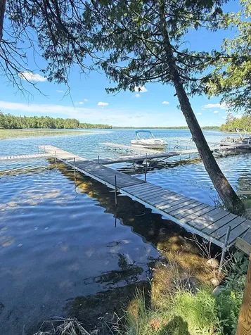 6231 72nd Street NE Remer MN 56672