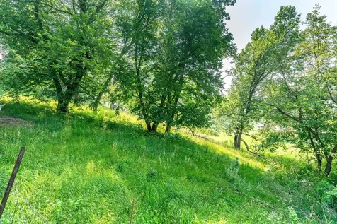 33667 County Highway 27 Erhard MN 56534