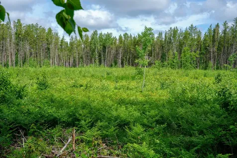 28391 County 109 Menahga MN 56464