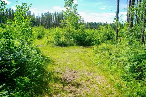 28391 County 109 Menahga MN 56464