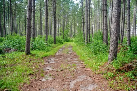 28391 County 109 Menahga MN 56464