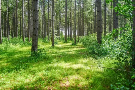 28391 County 109 Menahga MN 56464