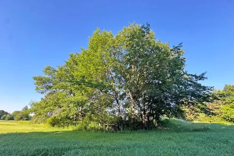 1298 210th Avenue Ogilvie MN 56358
