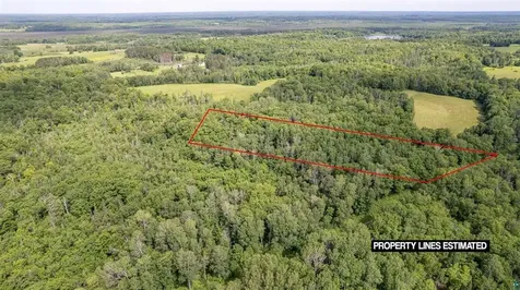 1XXX Bent Trout Lake Road Barnum MN 55707