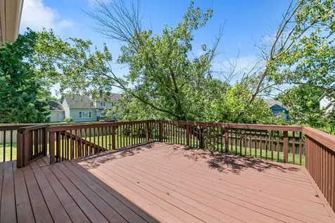 9719 Hillside Trail S Cottage Grove MN 55016