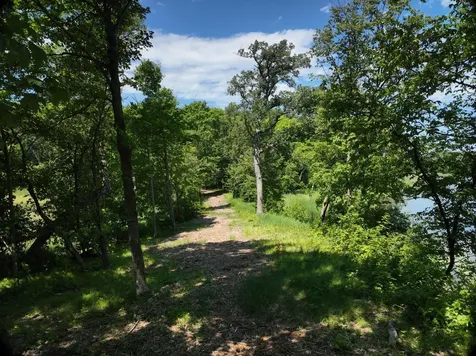 Lot 6 West Lake Olaf Road Pelican Rapids MN 56572
