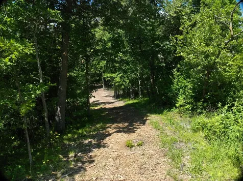 Lot 6 West Lake Olaf Road Pelican Rapids MN 56572