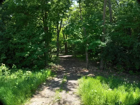 Lot 6 West Lake Olaf Road Pelican Rapids MN 56572