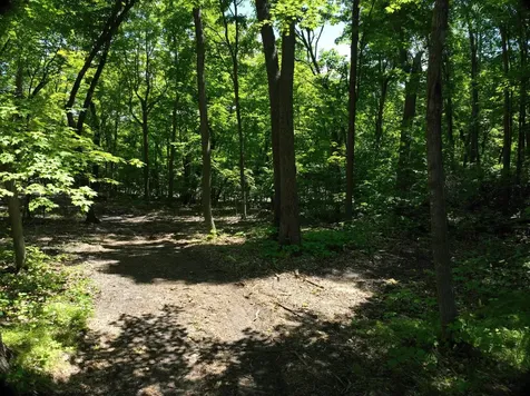 Lot 6 West Lake Olaf Road Pelican Rapids MN 56572