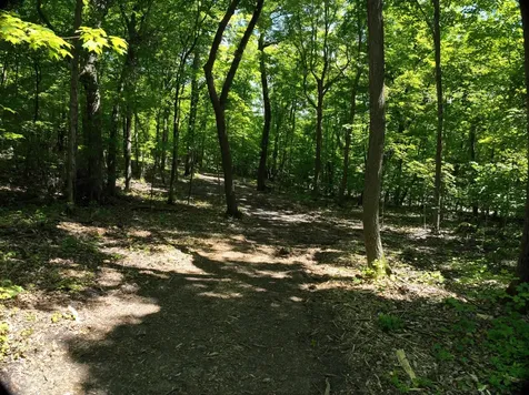 Lot 6 West Lake Olaf Road Pelican Rapids MN 56572