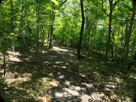 Lot 6 West Lake Olaf Road Pelican Rapids MN 56572