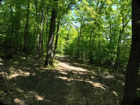 Lot 6 West Lake Olaf Road Pelican Rapids MN 56572
