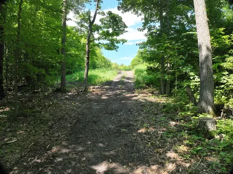 Lot 6 West Lake Olaf Road Pelican Rapids MN 56572