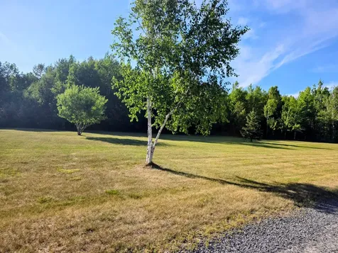 3142 Highway 53 International Falls MN 56649